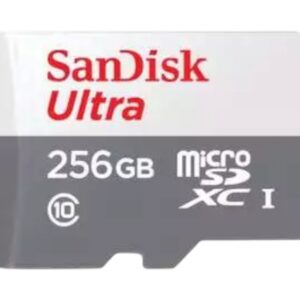 כרטיס זיכרון 256GB